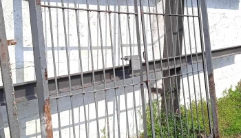 1 portón de dos hojas gris