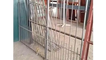 1 Porton de hierro