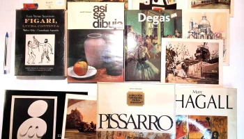 10 libros y catalogos de Arte Figari, Goya, Laroche, Miro, etc
