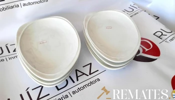 6 platos de loza oval