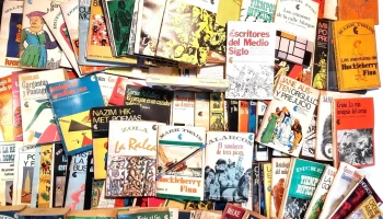 Aprox 120 Librillos Biblioteca Básica Universal