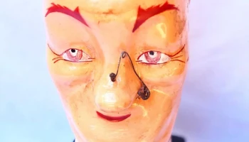 Cabeza de geniol sana