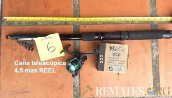 caña telescopica 4,5 + reel