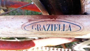 Cuchillo de trinchar Europeo 31 cm largo total Milano