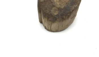 Muy Antigua Madera Petrificada