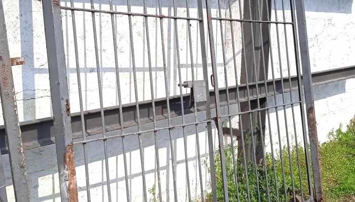 1 portón de dos hojas gris