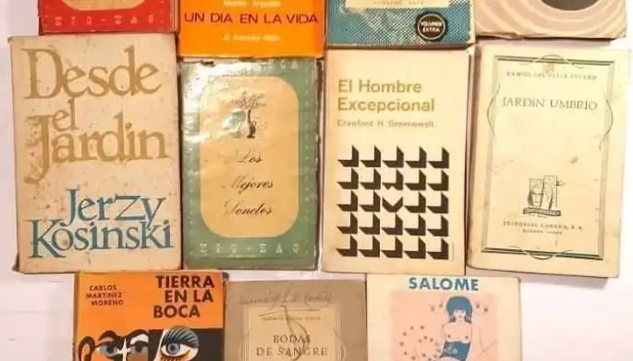 11 Libritos Y Novelas El Anticuario El 1 - 05-06-2021