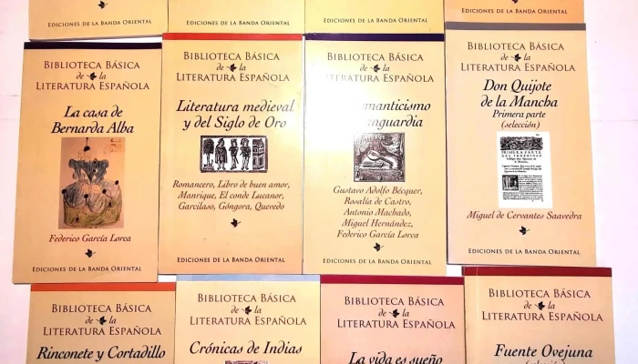 12 Libritos De Biblioteca Basica De La L 1 - 05-06-2021
