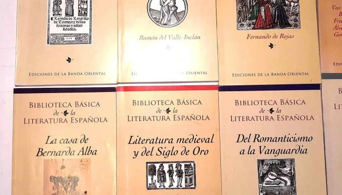 12 Libritos De Biblioteca Basica De La L 3 - 05-06-2021