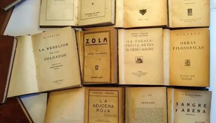 15 libros de Literatura Clasica antiguos Edit Losada y otra