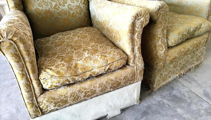 2 Bergere Para Retapizar -  3 - 17-06-2021