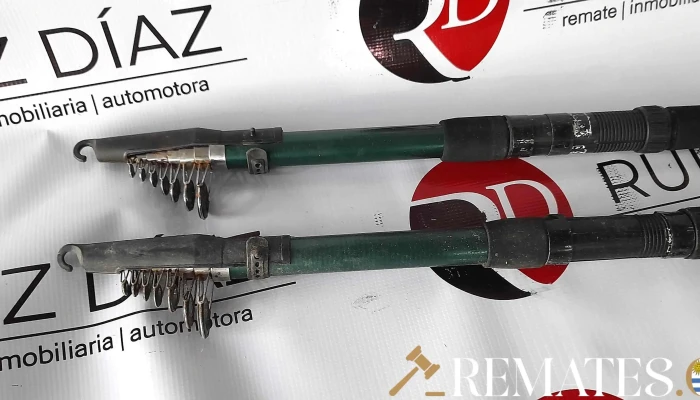 2 Canas Extensibles De 4m 2 - 17-06-2021