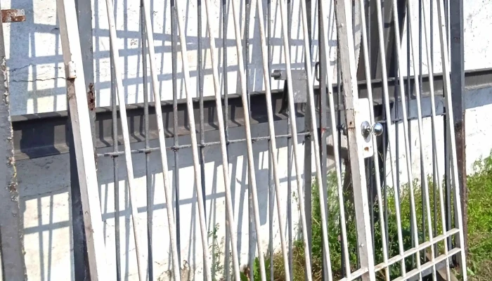 2 hojas de portón reja blanco