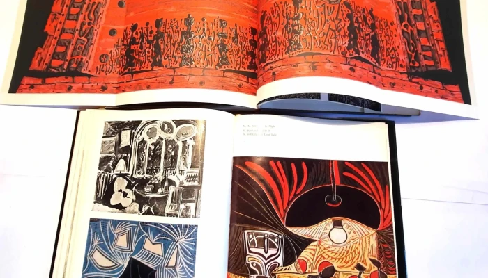 2 Libro De Arte De Picasso Y Moshe Caste 3 - 05-06-2021