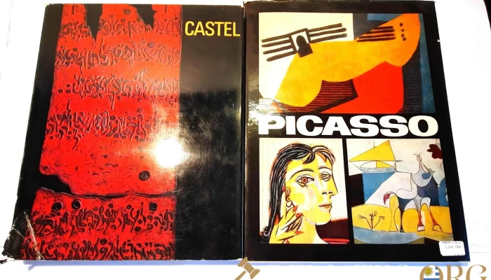 2 libro de Arte de Picasso y Moshe Castel