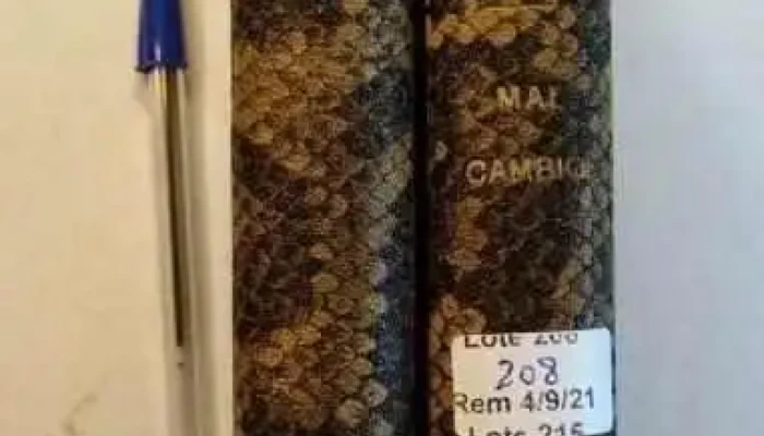 2 Libros Magallanes Y Mal Cambio Y O 1 - 05-06-2021