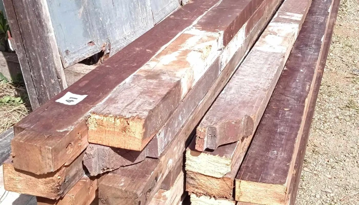 22 vigas de (9.5 X 5)cm