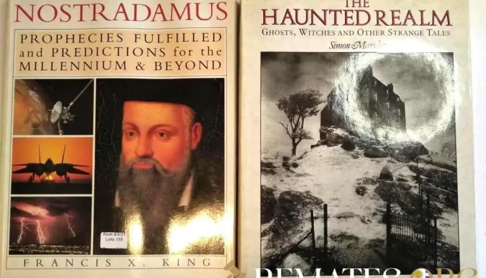 3 libros en Ingles The Psychic Explorer, Who are you, Dream and Destiny