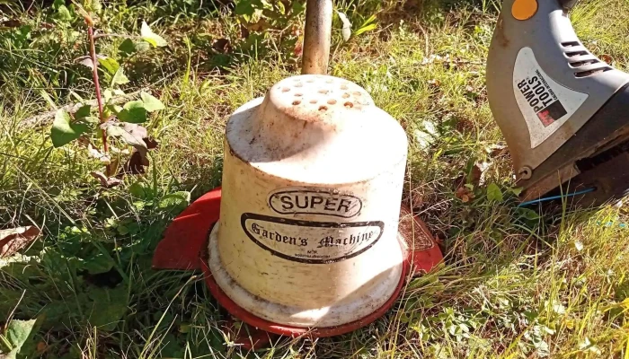 3 Recipientes Repletos Con 5 Kg De Moned 3 - 05-06-2021