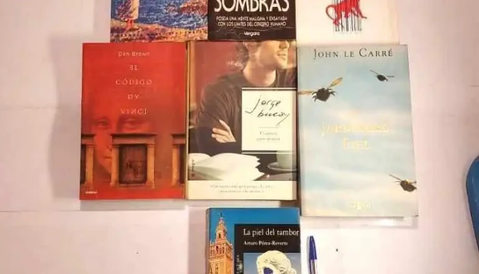 7 libros Codigo Da Vinci, Bucay. Jardinero fiel, etc