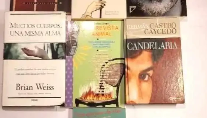 7 libros: Jorge Rial, 1 de Brian Weiss, Como Agua para Chocolate, etc