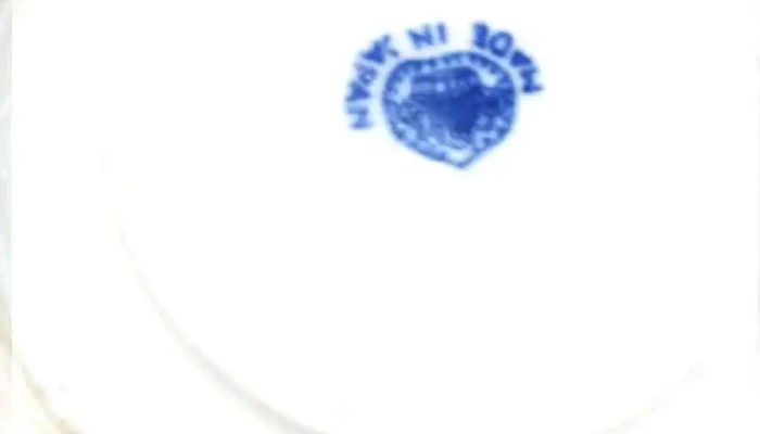 9 Tazas Y 11 Platillos Japones -  1 - 15-08-2021