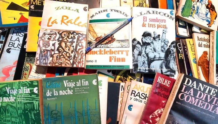 Aprox 120 Librillos Biblioteca Basica Un 2 - 05-06-2021