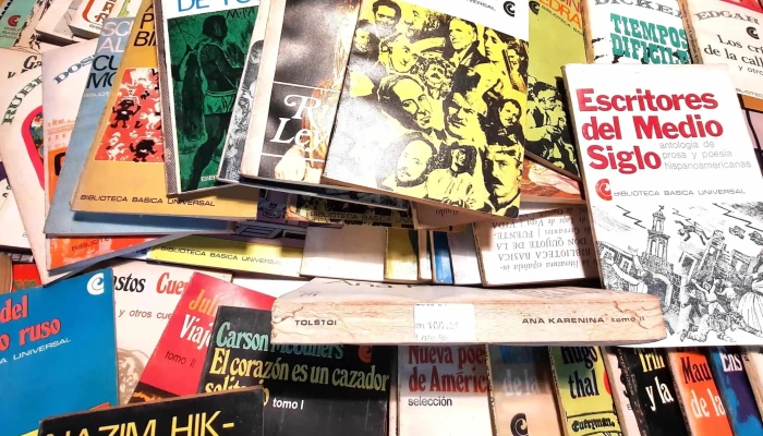 Aprox 120 Librillos Biblioteca Basica Un 3 - 05-06-2021