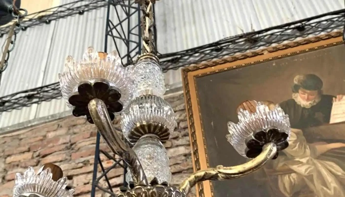 Araña 4 Luces