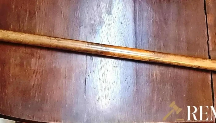 Bastón antiguo  con estoque