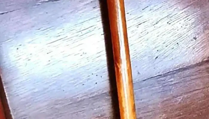 Bastón mango sellado Nickel Silver