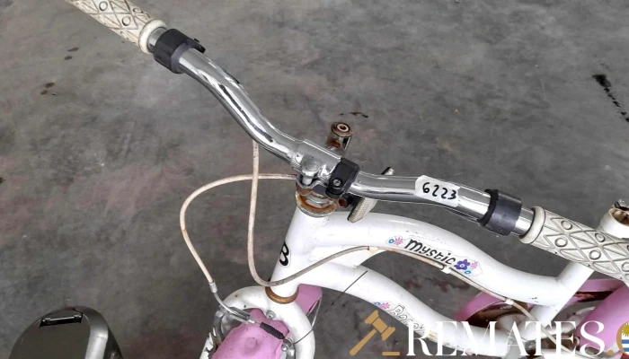 Bicicleta De Nino Sin Asiento Juguera Y 3 - 17-06-2021