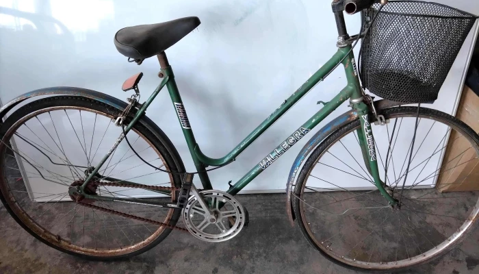 bicicleta playera verde rodado 26