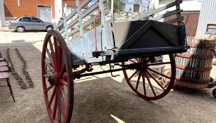 Carro De Tiro De Varales -  3 - 06-12-2020