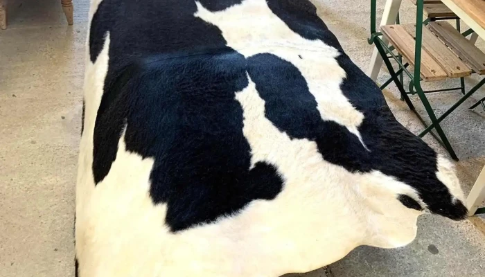 Cuero Vacuno Holando 170 X 130 3 - 06-12-2020