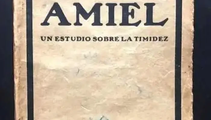 Dos Libros Teoria De Los Colores Y Amiel -  1 - 30-07-2021