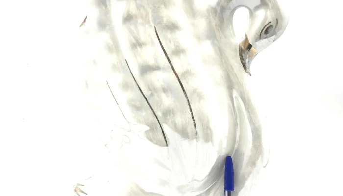 Florero Cisne -  2 - 22-08-2021
