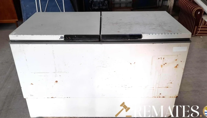 Freezer dos puertas