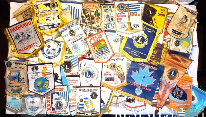 Gran Lote De 48 Banderines Del Club De L 1 - 05-06-2021