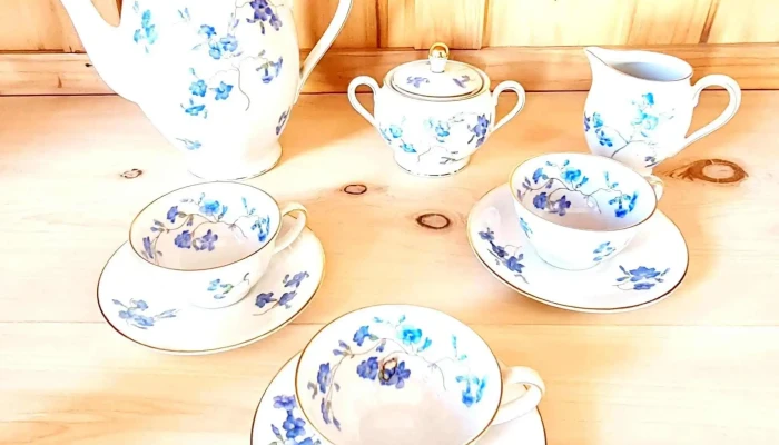 Juego 9 piezas porcelana alemana