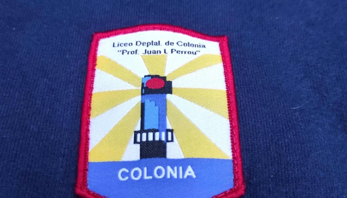 Lote De Camperas De Uniformes Liceo De C 2 - 30-07-2021