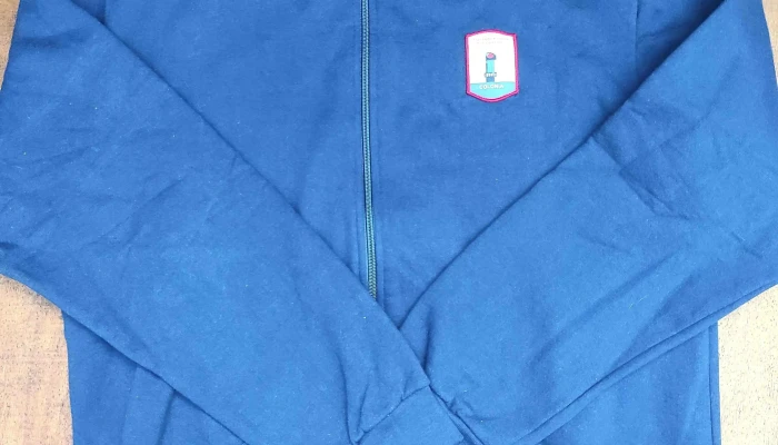 Lote de camperas de uniformes liceo de colonia