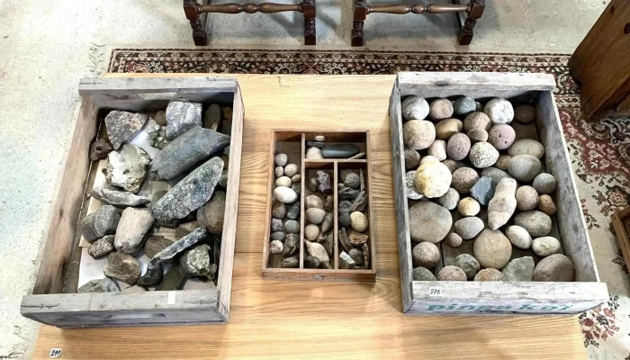 Lote De Fosiles, Piedras Indigenas Y Otros