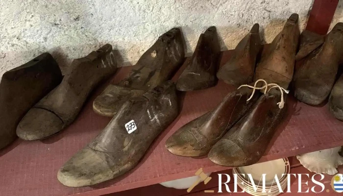 Lote De Hormas De Madera 12 1 - 06-12-2020
