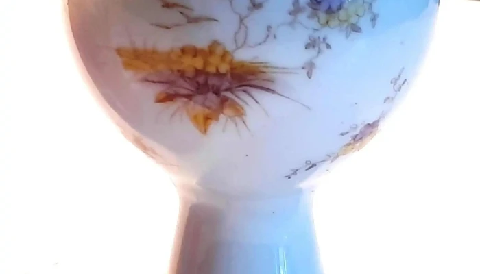 Mate Isabelino