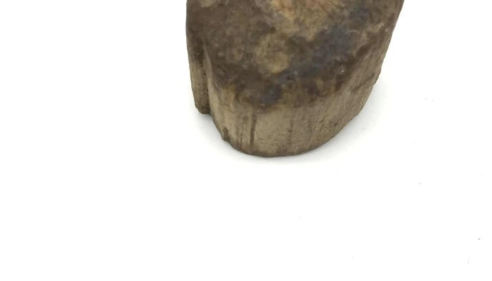 Muy Antigua Madera Petrificada