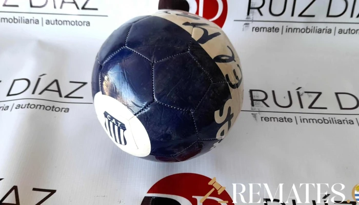 pelota azul y blanca