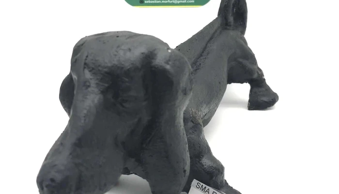 Perro De Limpiabota