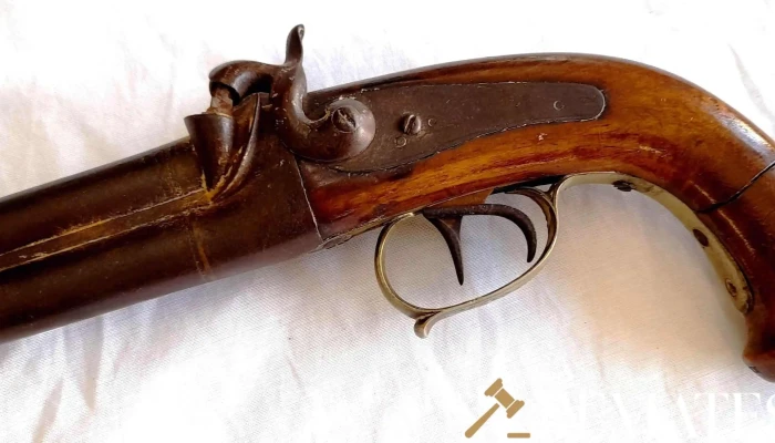 Pistolon Muy Antiguo Sano 3 - 17-06-2021