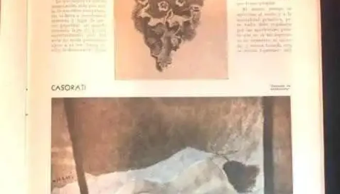 Revista Histonium 1946 -  2 - 30-07-2021